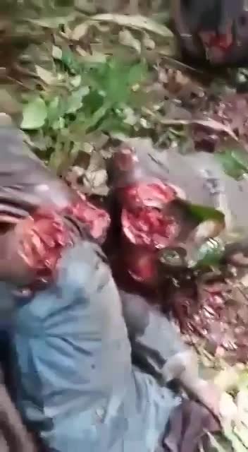 Brutal Ethnic War In Congo Killing People - LiveGore.com