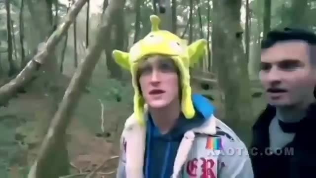 Logan Paul suicide forest video - LiveGore.com