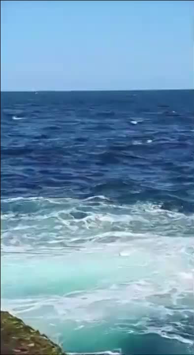 Man attacked and eaten by shark in Australia (Reupload) - LiveGore.com 