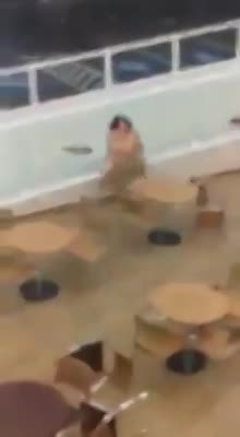 NAKED FAT AND DERANGED WOMAN DESTROYING A SHOPPING MALL - LiveGore.com