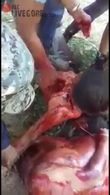 LiveGore.com 