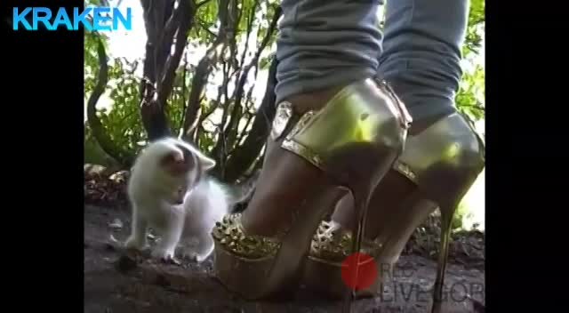 WTF! Woman Stepping On Kitten With Heels (Version 2) - LiveGore.com